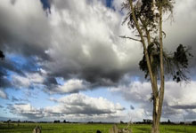 一竞技：[德甲]不来梅主场战平莱比锡.