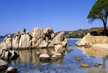 启航2025丨听奥运健儿李雯雯、王昶、梁伟铿、马佳演唱歌曲《超燃》.